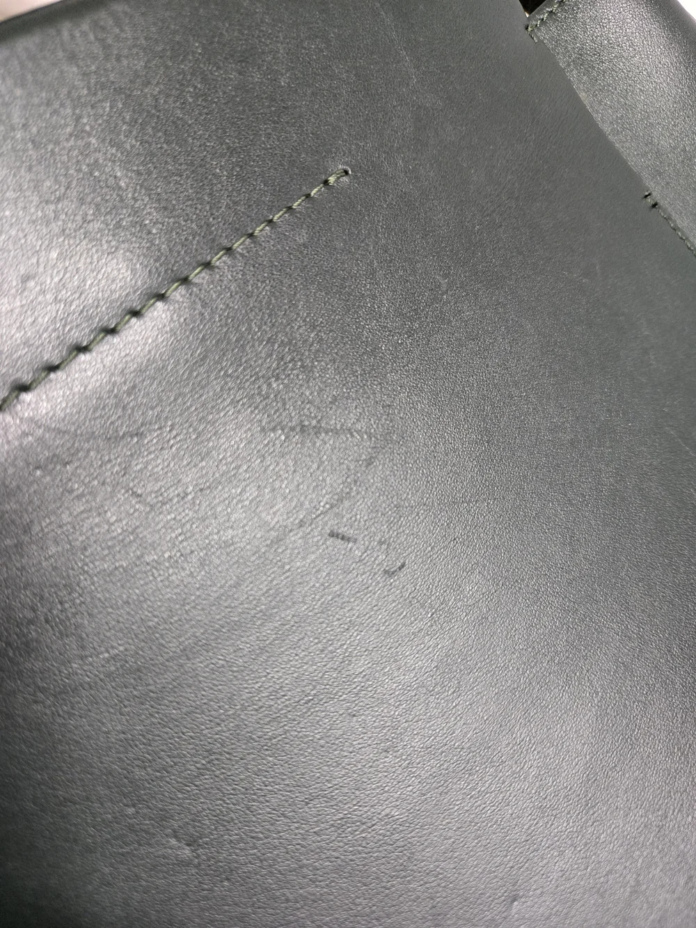 Everlane Dark Green Leather Shoulder Tote